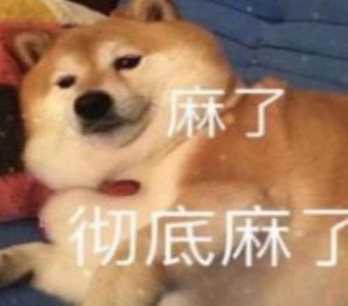 主场雄风再,主队能否在,这波,Bg大游真人,Bg大游真人真人,Bg大游真人电子,Big,Gaming