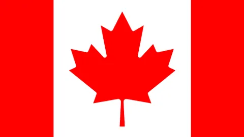 维金斯显著进步，戴格诺点名称赞成长倍感自豪