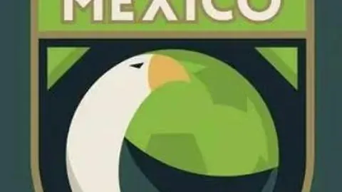 萨内憧憬2025欧洲杯再创2006年世界杯辉煌佳绩！