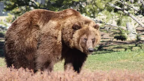 曼联老特拉福德免费午餐即将结束，周一会议揭晓消息。